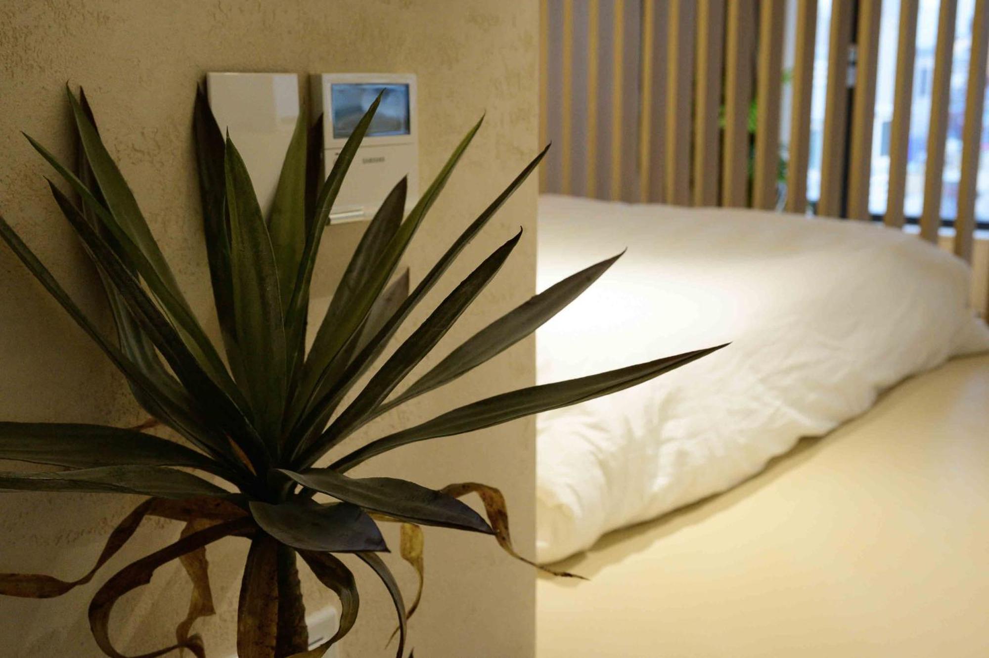 Catnap Guesthouse Pusan Zewnętrze zdjęcie
